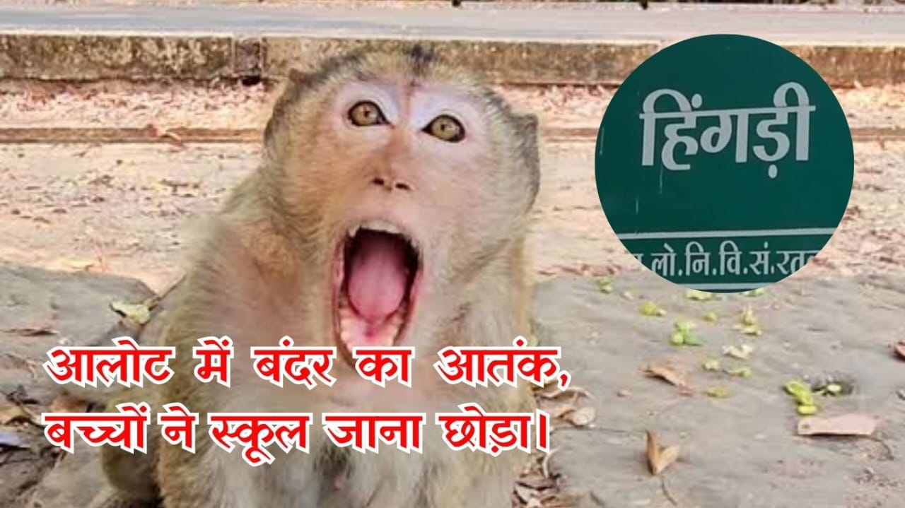 बंदर के डर से गांव में स्कूल सूने, 20 दिन में 15 ग्रामीण घायल