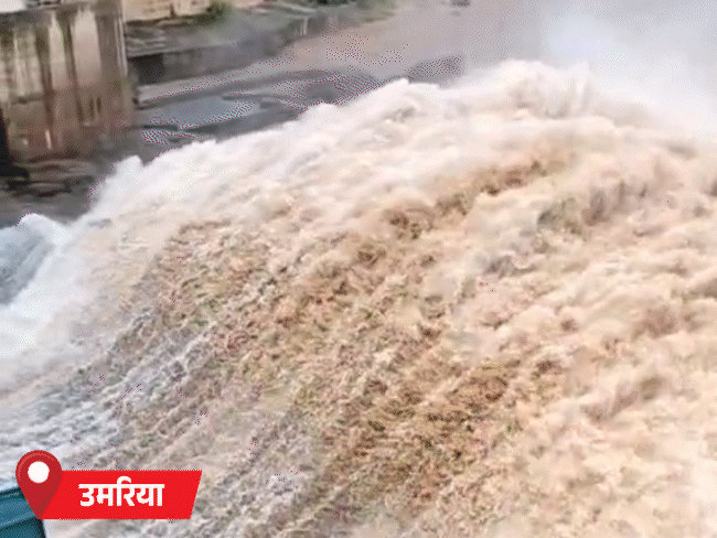 उमरिया में जोहिला डैम के दो गेट खोले गए:शिवपुरी के गांवों में बाढ़, सड़क पर कारें डूबीं; शहडोल में दीवार गिरने से दंपती की मौत