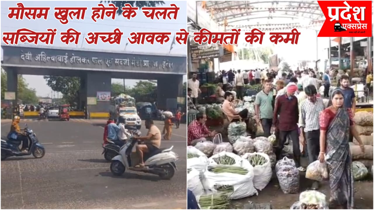 सब्जी मंडी में बहार: इंदौर में हरी सब्जियों की आवक तेज, जनता को राहत