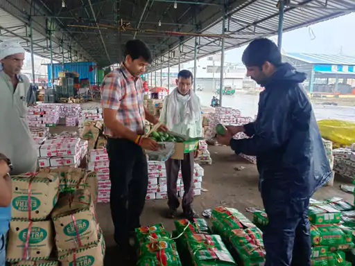 भोपाल की फल मंडियों में ‘मसाले’ से पकाए जा रहे फलों की जांच, दुकानदारों को दी गई सख्त चेतावनी