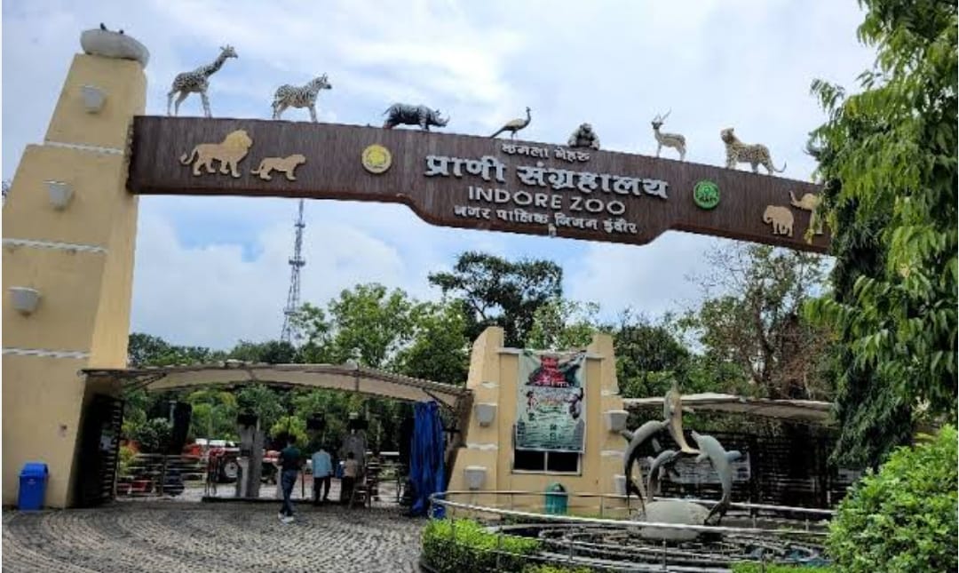 परिंदों को मिलेगा नया आशियाना: कमला नेहरू प्राणी संग्रहालय में बनेंगे तालाबनुमा पिंजरे