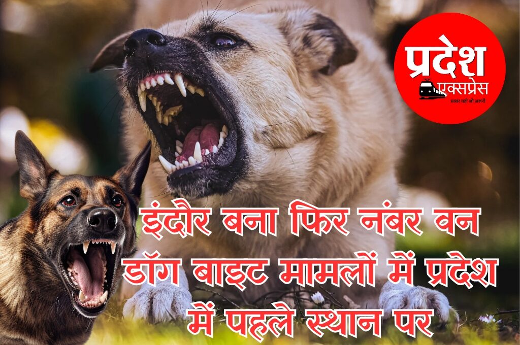 इंदौर सिर्फ स्वच्छता में ही नहीं, डॉग बाइट मामलों में भी नंबर वन; भोपाल सबसे सुरक्षित शहर, नेशनल हेल्थ मिशन की रिपोर्ट में खुलासा